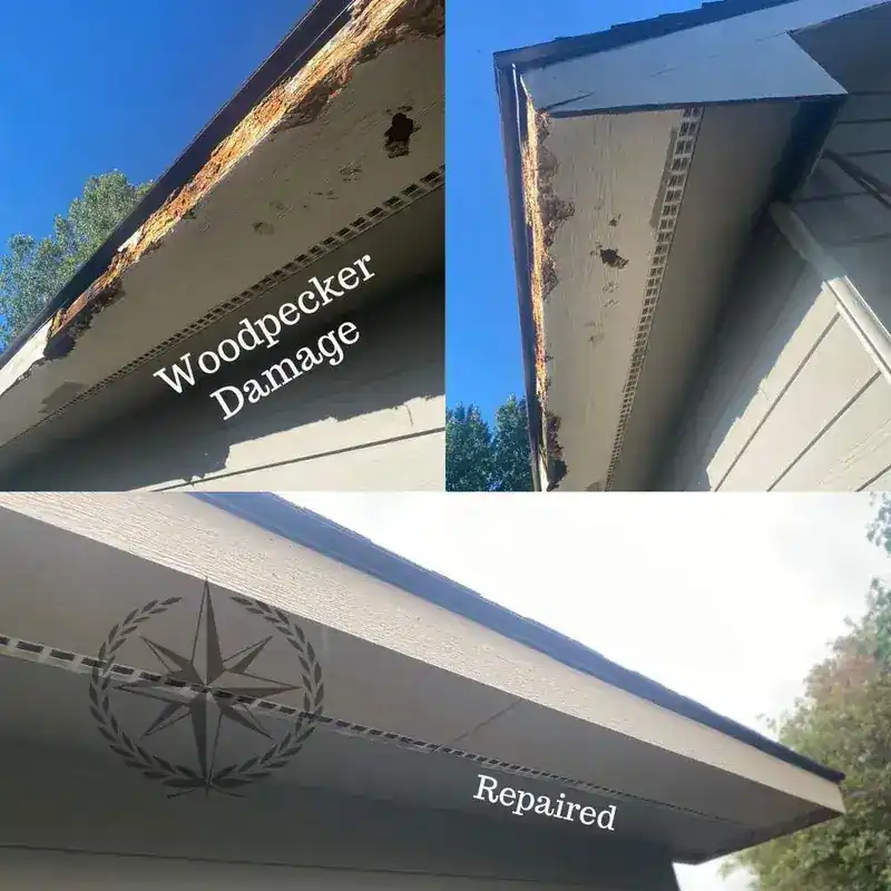 Woodpecker damage to the soffit, and the same soffit repaired